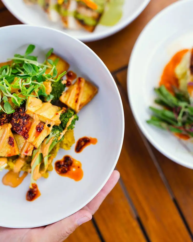 Plates of chef-prepared salmon, vegetables and greens on a patio table