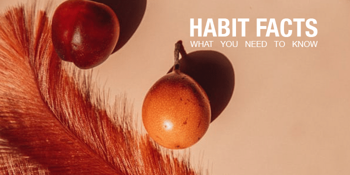 large feather next to pear and plum with "HABIT FACTS WHAT YOU NEED TO KNOW" written next to it