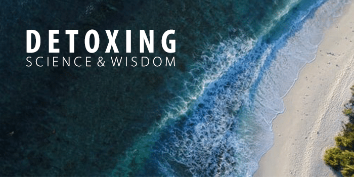 Arial view of ocean with "DETOXING SCIENCE & WISDOM" written in white text