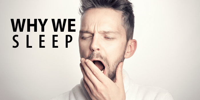 Man yawns with "WHY WE SLEEP" written next to it
